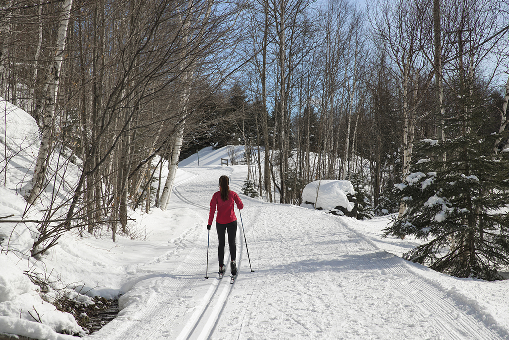 Foto på person som åker längdskidor på skidspåren