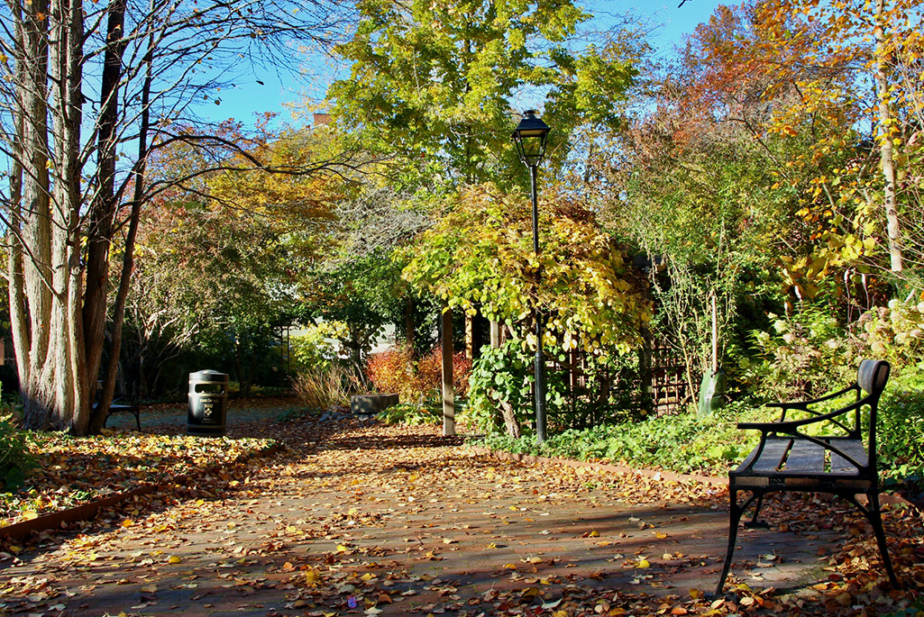Bild tagen inne i Fridegårdsparken under hösten. I förgrunden på marken syns höstlöv, i bakgrunden syns växter och parkmöbler som står inuti parken.